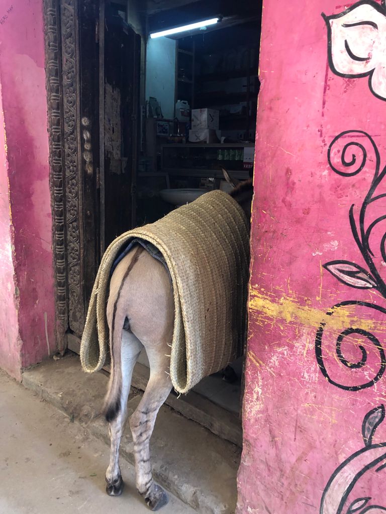 Lamu Writing Retreat 2021