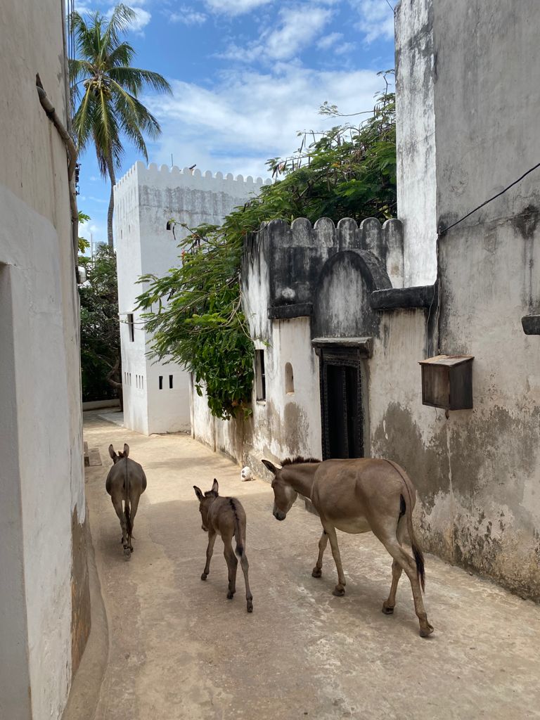 Lamu Writing Retreat 2021