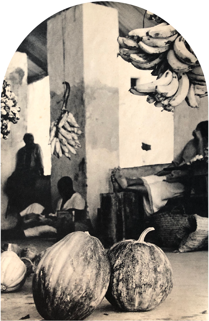 Lamu Writing Retreat 2022
